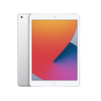 iPad 8 (Repair)