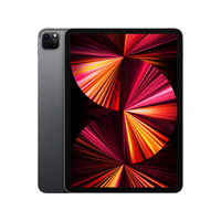 iPad Pro 11" 3rd Gen (Repair)