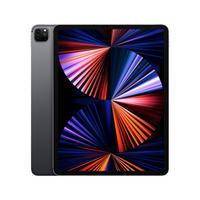 iPad Pro 11" 5th Gen (Repair)