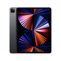 iPad Pro 12.9" 5th Gen (Repair)