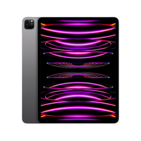 iPad Pro 12.9" 6th Gen (Repair)